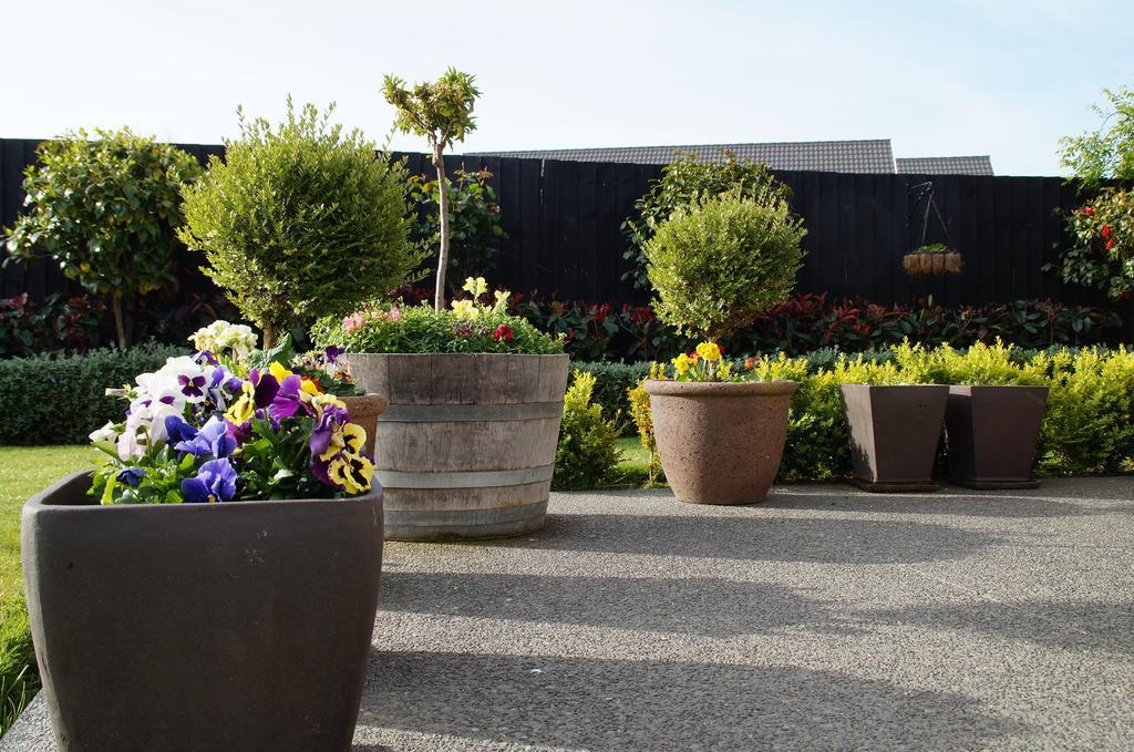 Olive House Bed And Breakfast Christchurch Esterno foto
