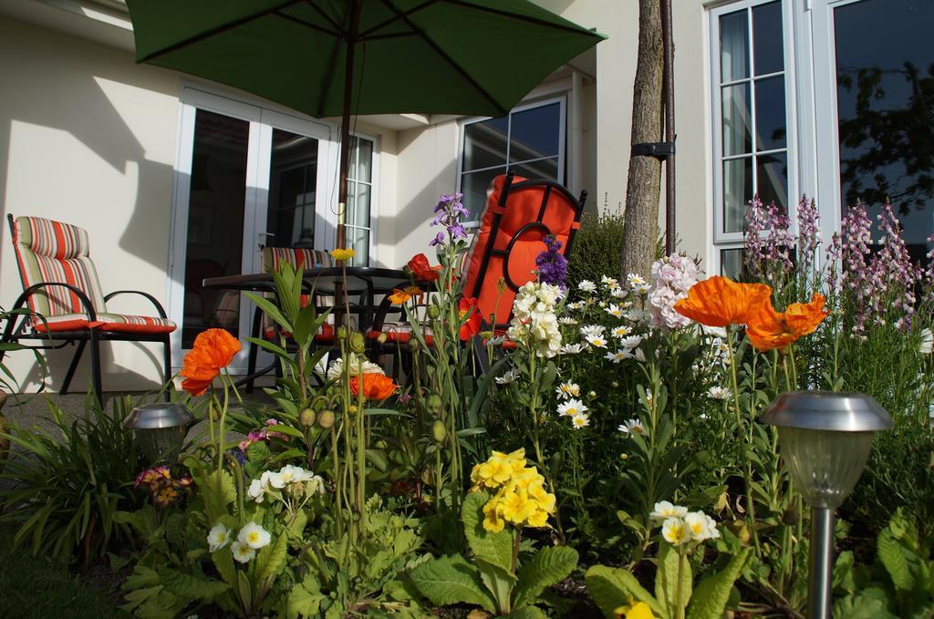 Olive House Bed And Breakfast Christchurch Esterno foto