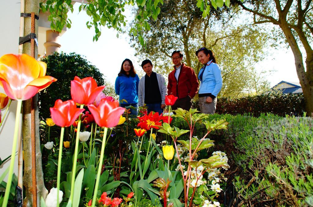 Olive House Bed And Breakfast Christchurch Esterno foto