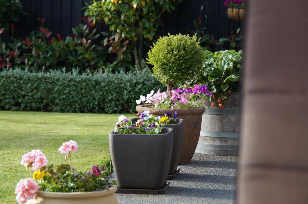 Olive House Bed And Breakfast Christchurch Esterno foto