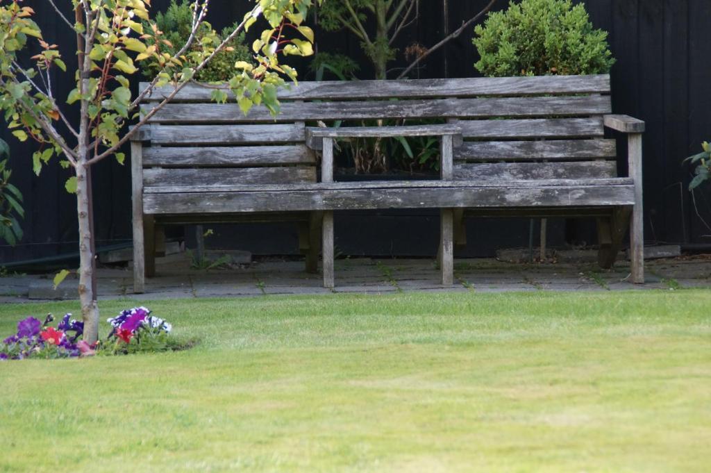 Olive House Bed And Breakfast Christchurch Esterno foto